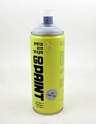 48 GO PAINT ספרי צבע אפור