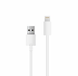 כבל סינכרון וטעינה 1 מטר  LIGHTNING