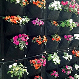 Garden Highpro עציץ בד 12 תאים ורטיקלי מבית