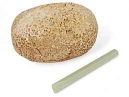 ביצת דינוזאור לחפירה  כלי