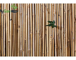 EVERGREEN 1.2 מX5 במבוק מושחל פרימיום עובי 14-16 מידה
