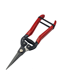 SPARK מזמרה "7.5 לפרחים וקטיף פרות