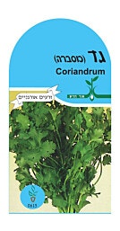 זרעי כוסברה
