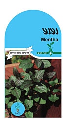זרעי נענע