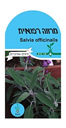 זרעי מרווה רפואית