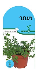 זרעי תבלינים ''זעתר''