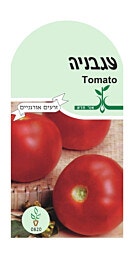 זרעי עגבניה