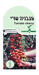 זרעי עגבניה שרי