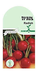 זרעי צנונית