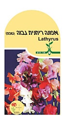 זרעי פרחים ''אפונה ריחנית