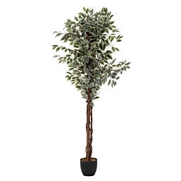 עץ מלאכותי פיקוס, 1.80 מטר